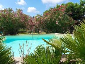 Maison charmante à Maillane avec piscine privée